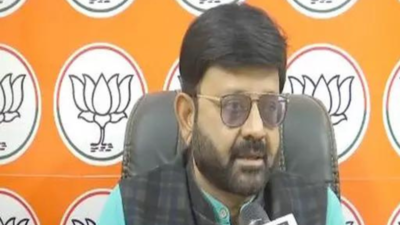 Jharkhand govt provided ID proofs to infiltrators, interests of tribals encroached: BJP Spokesperson Pratul Shah Deo