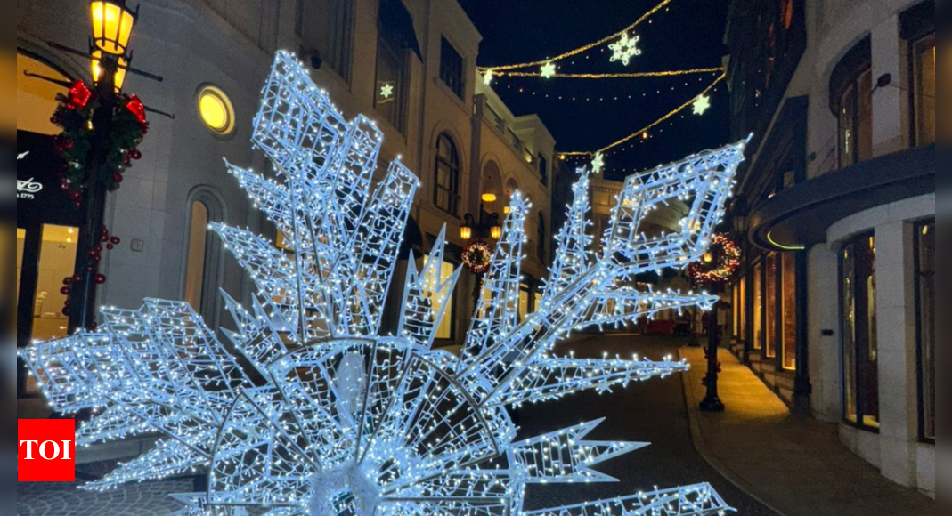 From New York to Paris: US and European cities prepare for magical Christmas season with festive displays