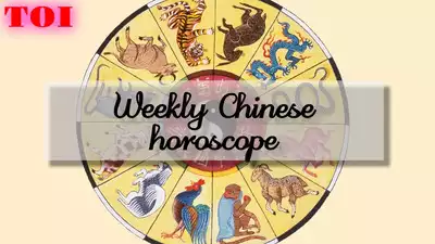 Weekly Chinese Horoscope, November 17 to November 23, 2024; Three Chinese zodiac signs that are unlucky