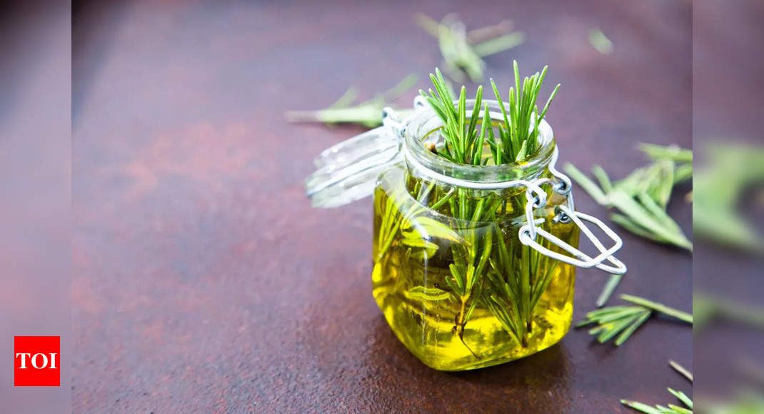 Hair Growth Oil: How to use Rosemary oil to grow hair in bald patches | – Times of India