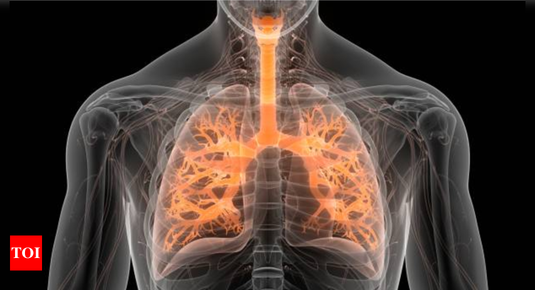 Understanding the challenges and advances in Lung Cancer treatment