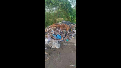 Councilors blame inaction in the fight against the landfill