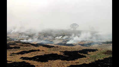 Farm stubble burning: Are farmers tricking satellites by time-switch?