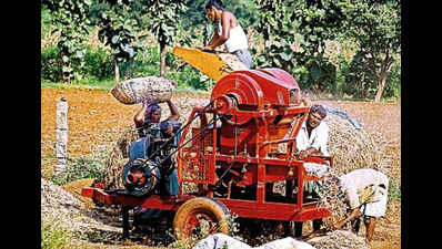 In soya bean heartland, farmers grapple with low price and debt