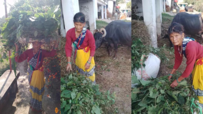 ‘Who will care for my buffalo?’ 80-year-old heroine of film on Uttarakhand’s ghost villages invited to premiere in Estonia, concerned about animal back home