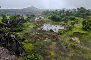 Pune, Maharashtra: Come for the rarities, stay back for the joy of birding!