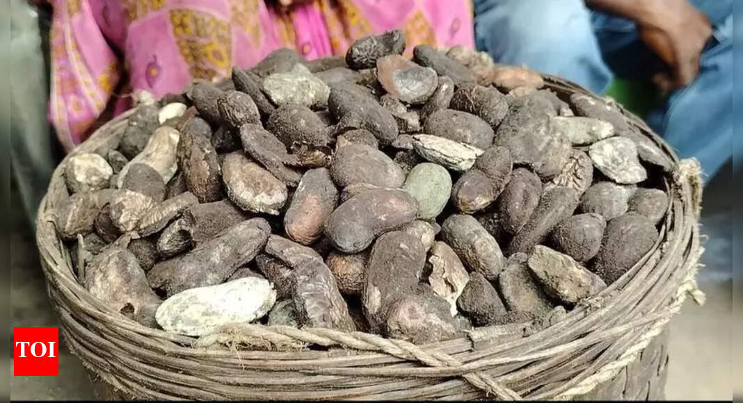 Tragic 'Mango Kernel' Poisoning Claims Third Victim in Odisha Village ...