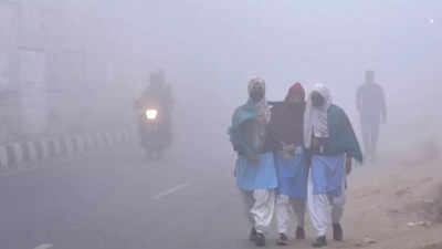 School Closure In NCR Ordered By SC Amid Delhi's Air Pollution, Grap 4 ...