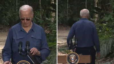 ‘Tarzan Biden wanders off into Amazon rainforest’: Netizens take a jibe at US President