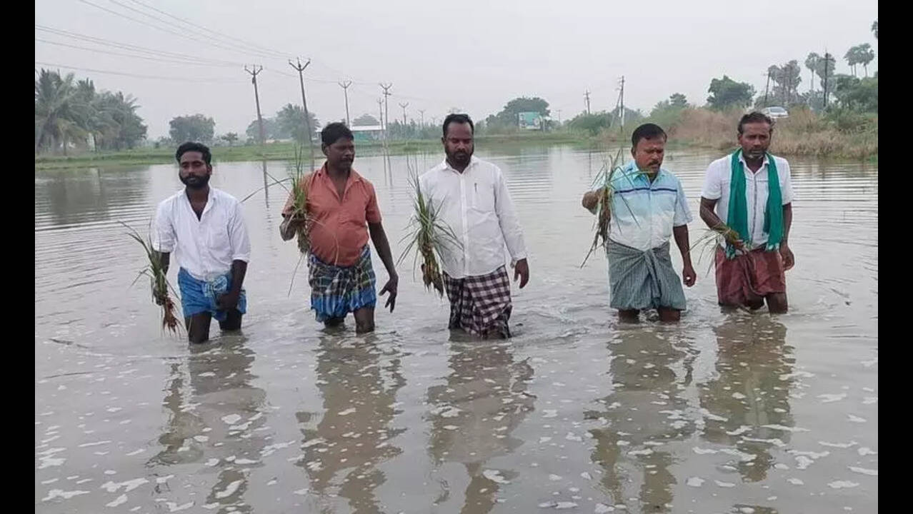 Thanjavur Schools Closed Amid Heavy Rainfall and Crop Damage