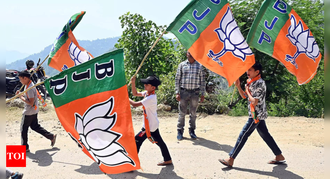 Take Down Objectionable Clip, EC Tells Jharkhand BJP - Times Of India