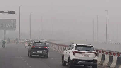 Delhi AQI: Classes X, XII also go online in Delhi, AQI maxes out at 15 stations