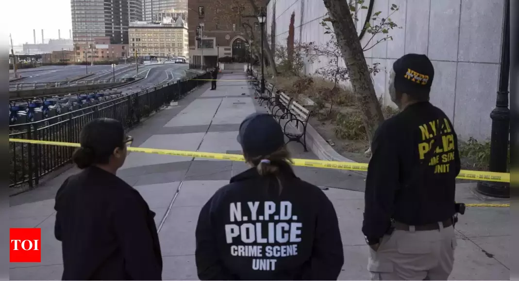 NYC Stabbing: ‘No words exchanged, just attacked, viciously’: 3 killed in ‘random’ stabbing incidents across New York city | World News – Times of India