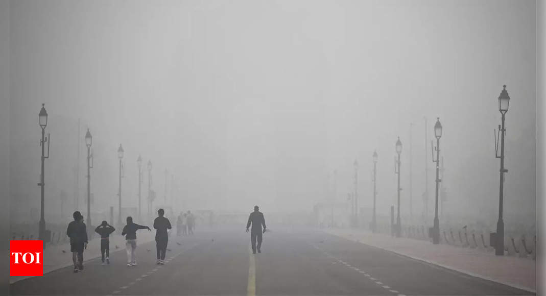 Delhi air pollution crisis discussed at COP29 sidelines | India News – Times of India