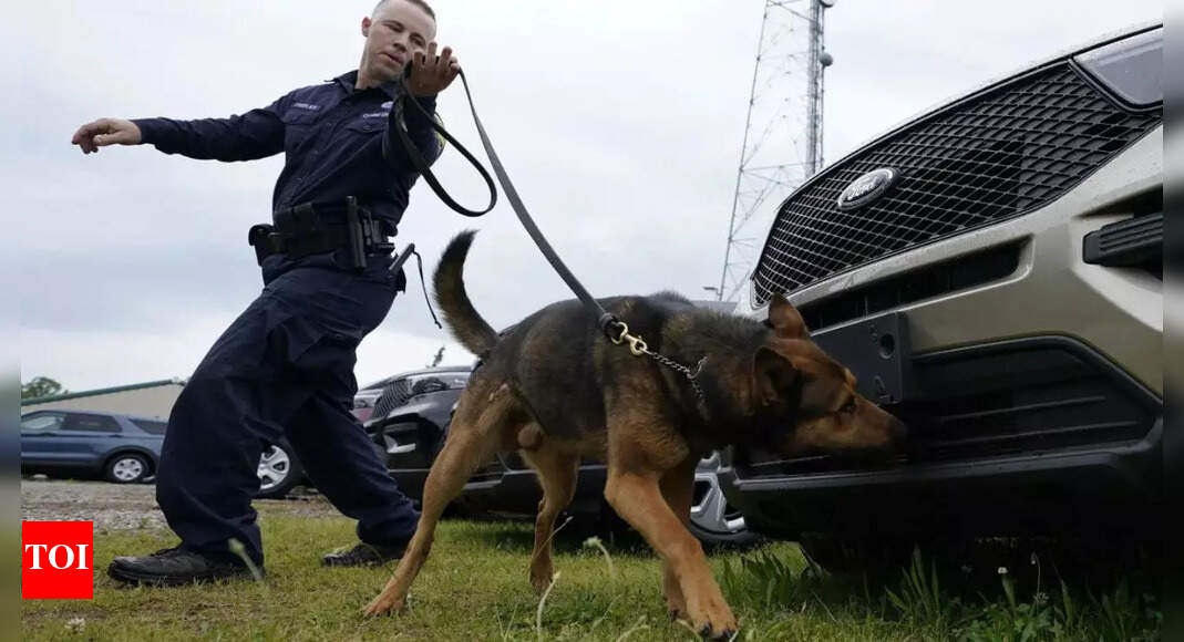 Calfornia city awards $1m to woman after police dog bites her