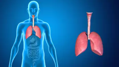 Discovering the surprising truth about lung cancer in India: Prevalence among non-smokers