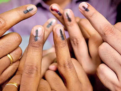 Maharashtra Assembly elections 2024: What’s open and closed on polling day