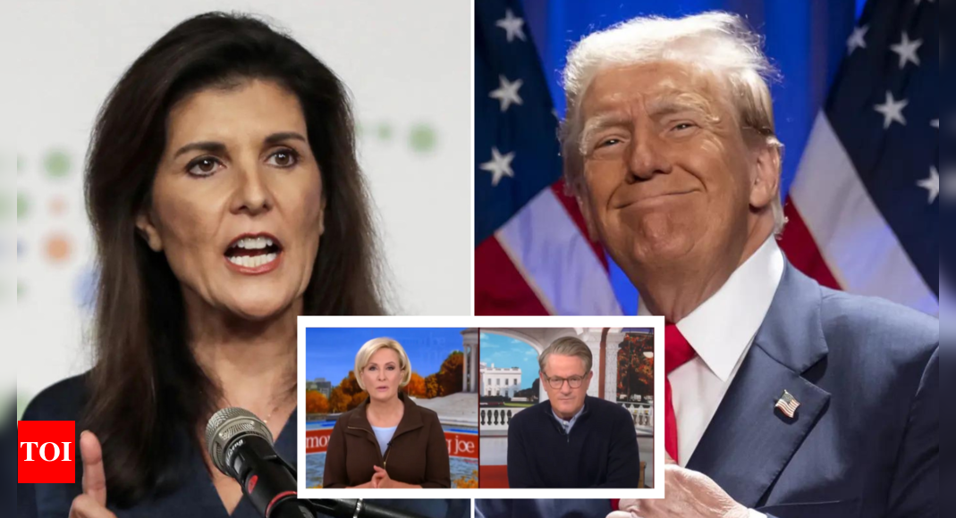 Nikki Haley calls out 'Morning Joe' hosts for meeting with Trump: 'They saw their ratings'