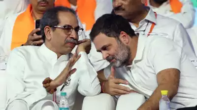 Whose safe did cash come from, asks Rahul Gandhi; 'note jihad', says Uddhav Thackeray