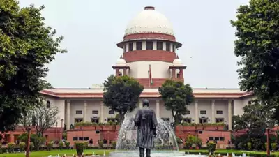 Identify all bailable suits, SC tells jail authorities