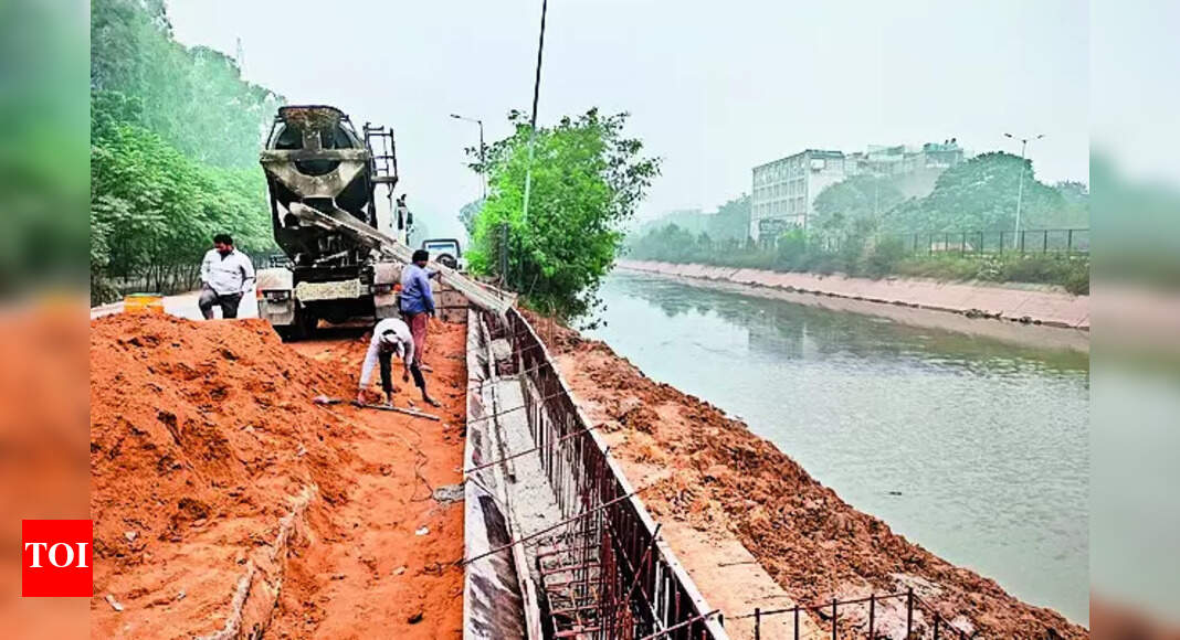 Ludhiana's Sidhwan Canal Bridges Project Delayed: Key Factors Unveiled ...
