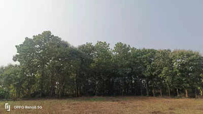 Vigilance Raids Reveal Shocking Wealth of Sonepur Civil Supplies