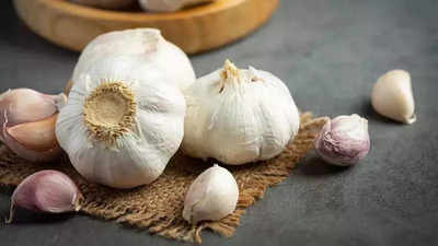 Customs seizes garlic consignment in Nellore