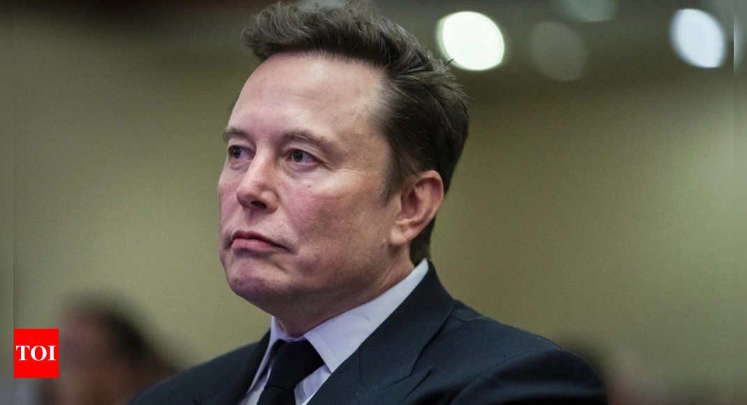 ‘Hey Elon Musk, put me…’: Dem commentator’s post blows up as Trump’s son replies – Times of India