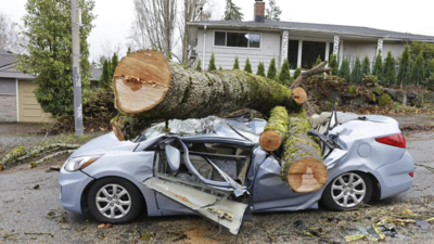 'Bomb Cyclone' Kills 2, Leaves Half A Million Without Power In US ...