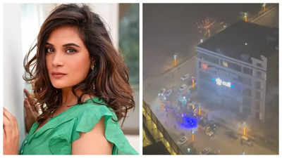 Richa Chadha laments Delhi's toxic AQI post-Diwali: 'Heartbreaking apathy and self-hatred'