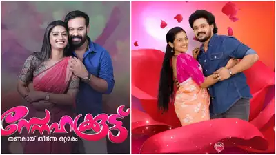 Kerala Women's Commission recommends termination of major Malayalam serials