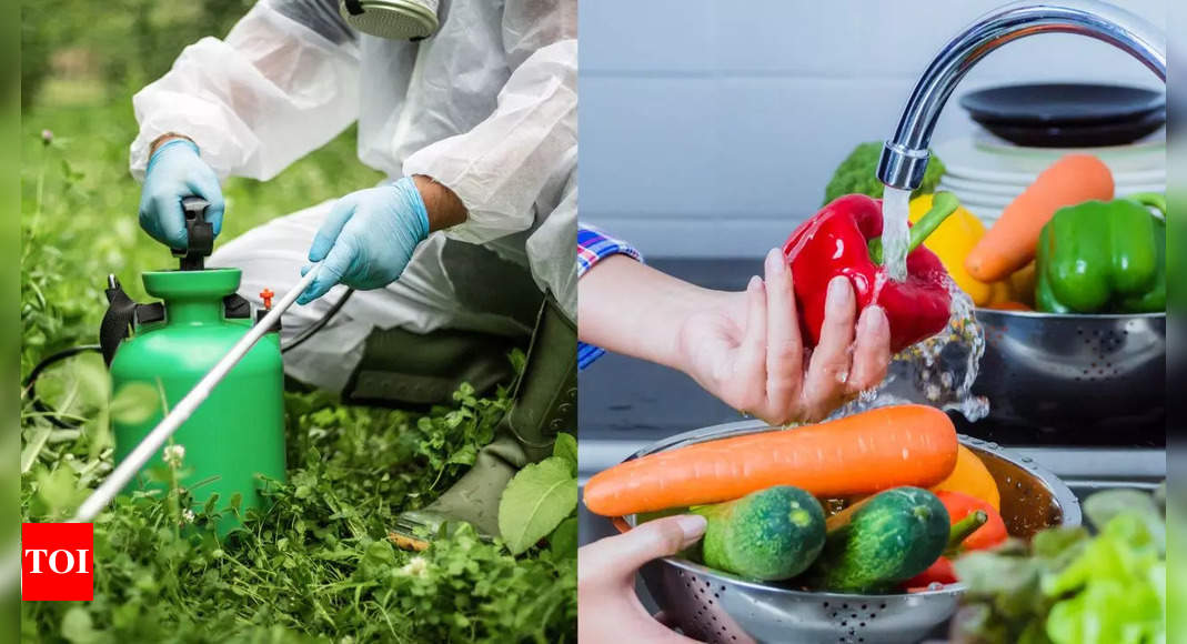 5 Easy ways to remove pesticides from leafy greens