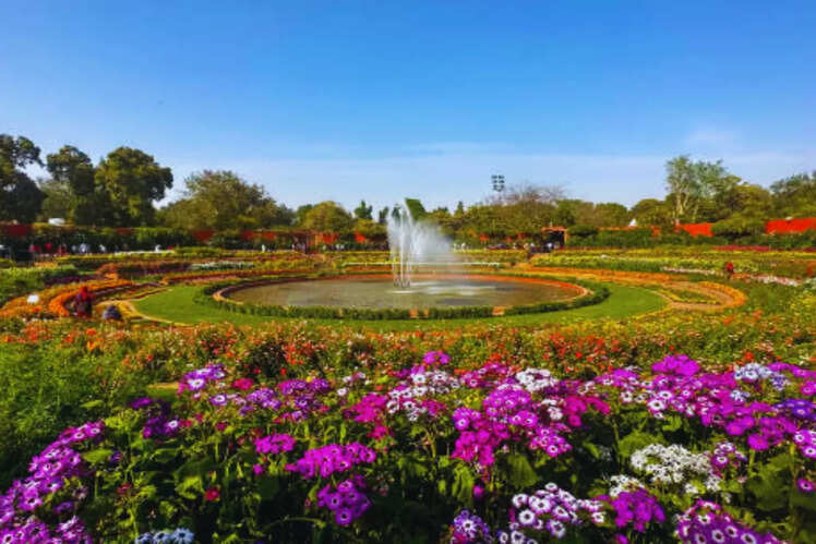 Delhi