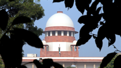 Supreme Court calls for committee to oversee tree felling in Delhi as green cover dwindles