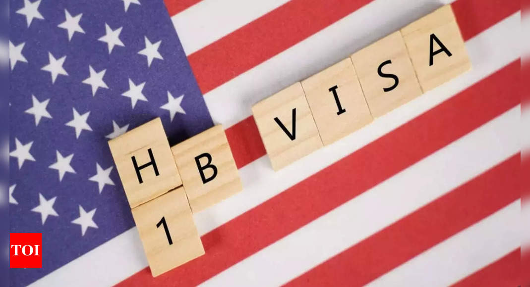 US Jobs: Top 10 companies sponsoring H-1B visas in 2024 – Times of India