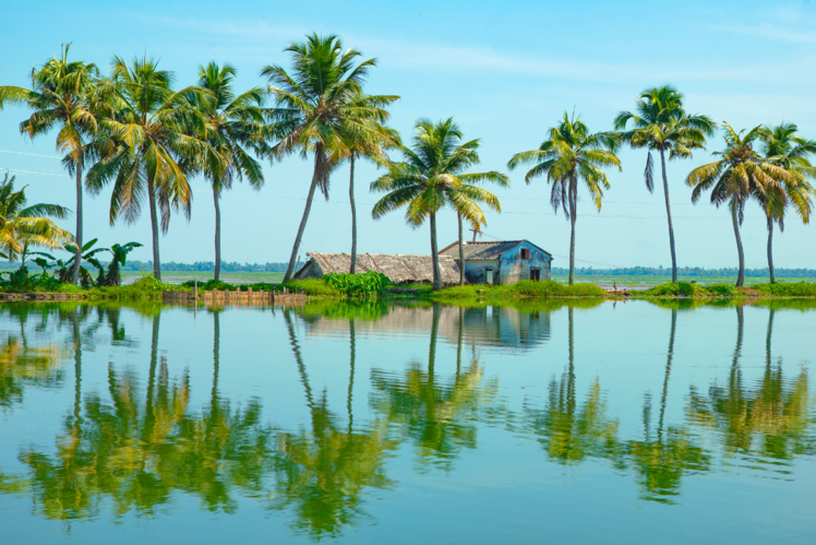 Kumarakom, Kerala