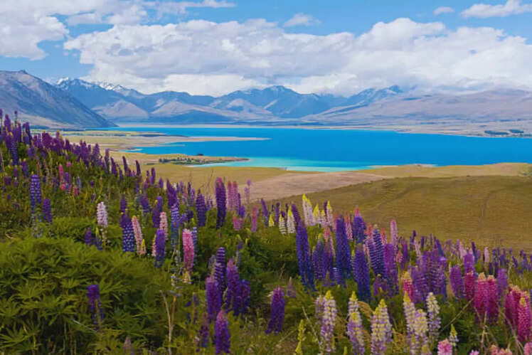 Lake Tekapo, New Zealand