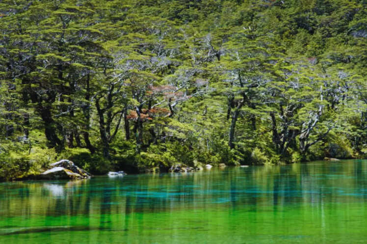 Blue Lake, New Zealand