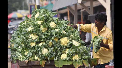 Cauliflower farmers reap bumper harvest