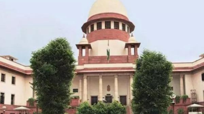 'Socialism' in India means 'social welfare state': Supreme Court