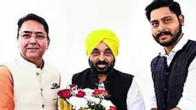 Minister Aman Arora replaces CM Bhagwant Mann as president of AAP’s Punjab unit