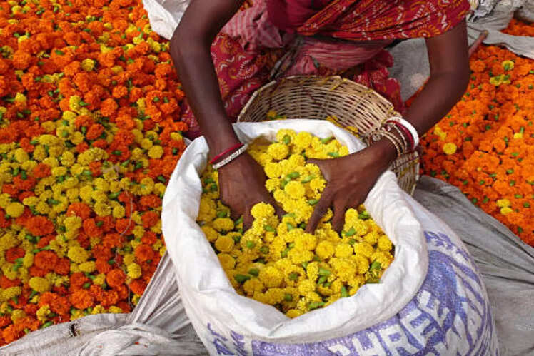 Bara Bazar, Kolkata