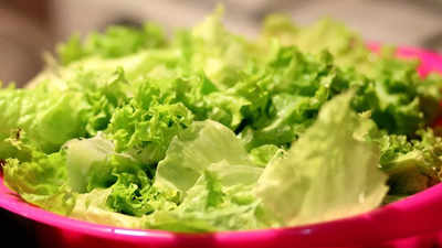 St. Louis county E.coli outbreak: Lettuce tests negative, investigation continues