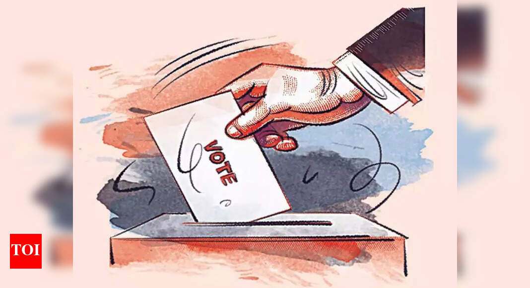 AIMIM Faces Setback in Maharashtra Elections, Retains Only One Seat | Hyderabad News - Times of India