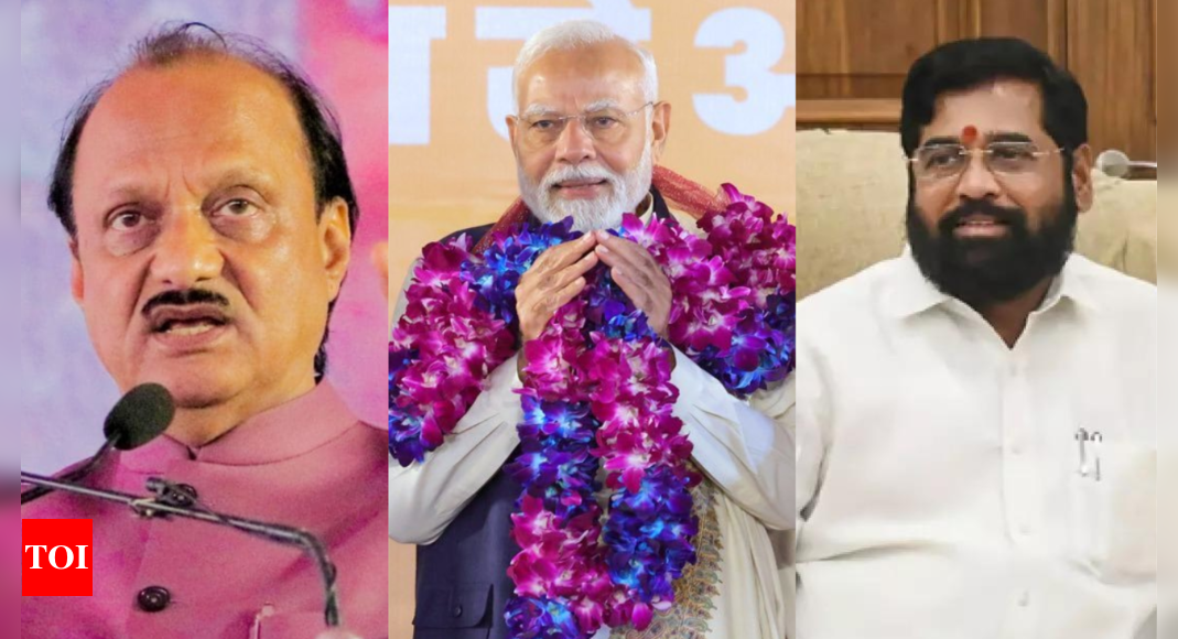 Maharashtra election: BJP's triumph, Congress's defeat