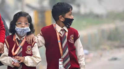 Delhi-NCR air pollution: Online classes for Noida schools till November 25