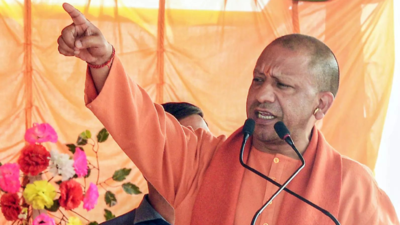 UP bypolls: 6 months after Lok Sabha debacle, Yogi Adityanath bounces back with 7/9 for BJP