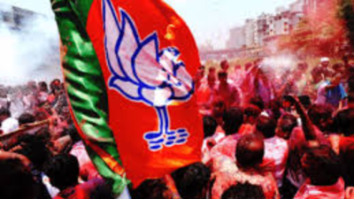 Jharkhand election results: BJP big guns fail to convert mega rallies into victories