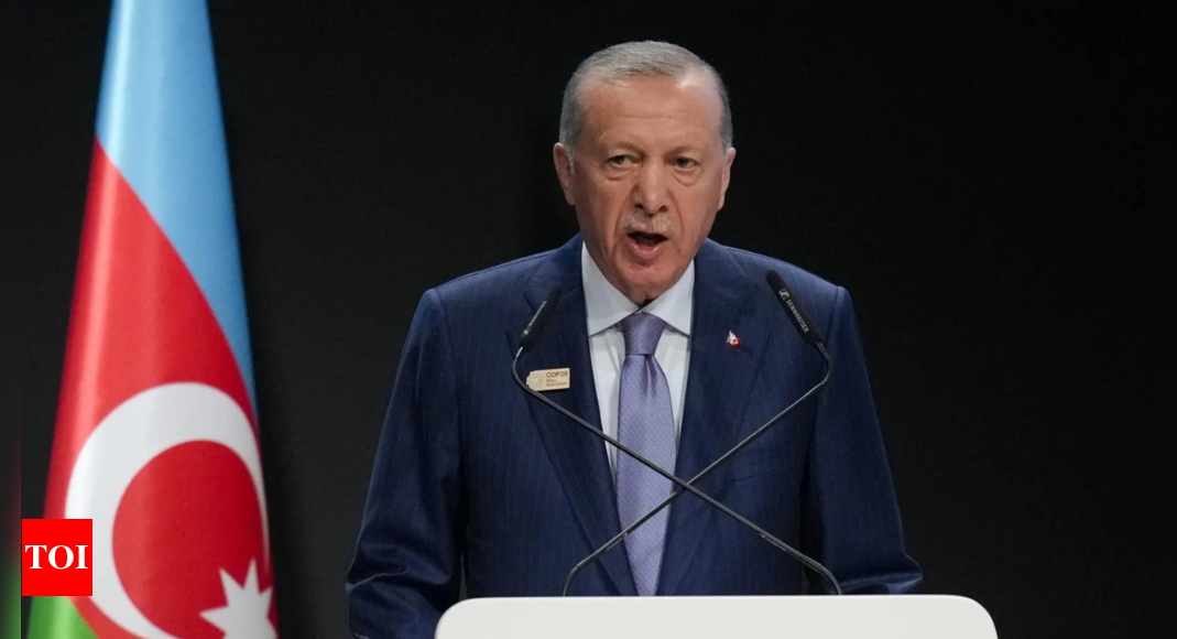 Turkey’s Erdogan to discuss Ukraine war with Nato chief – Times of India