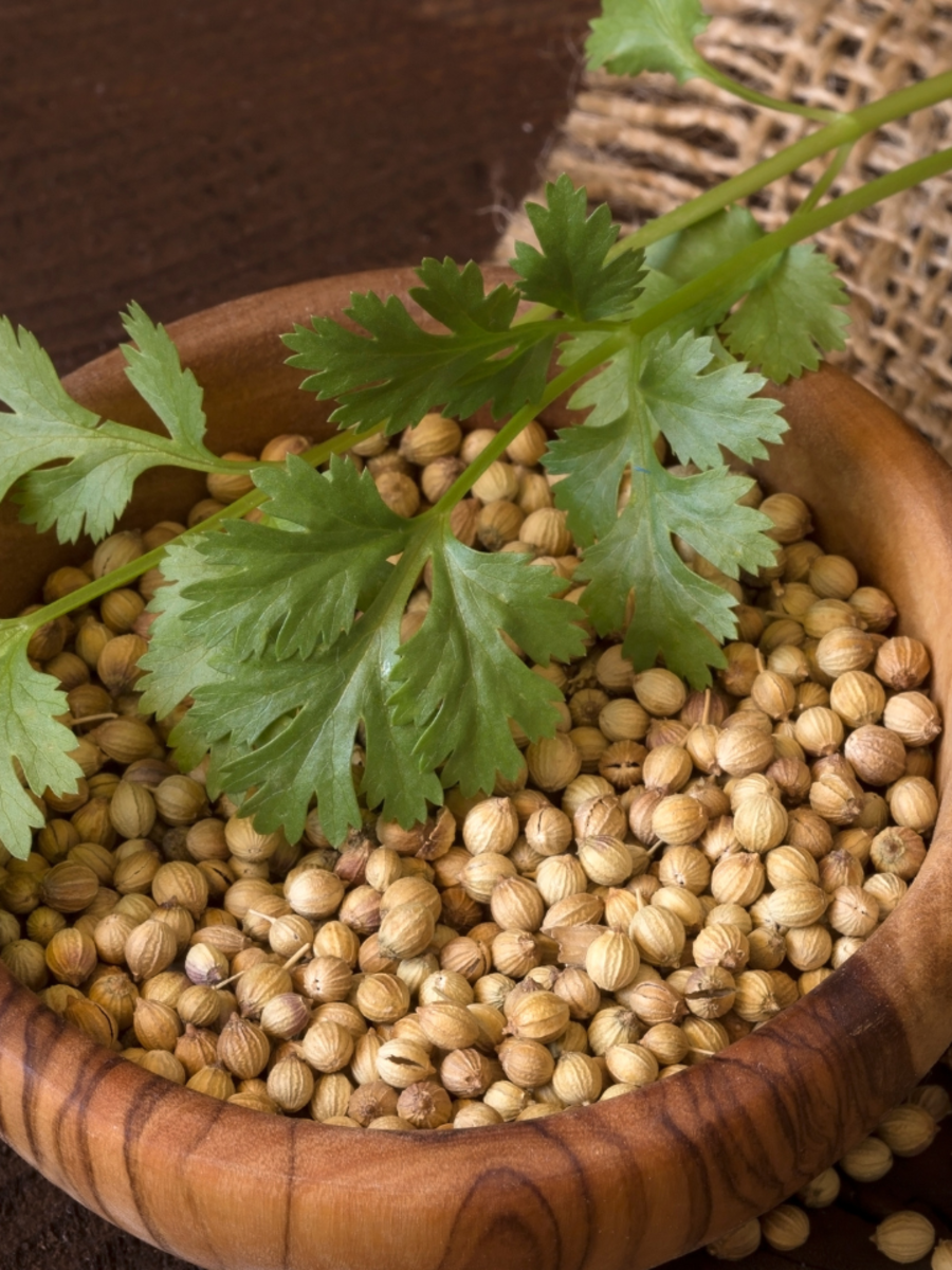 8 reasons to drink coriander seeds tea every morning